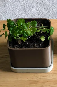 125mm Planter & Base 0.2mm layer, 2 walls, 15% infill