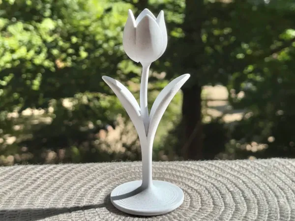 https://makerworld.bblmw.com/makerworld/model/US6be0bc6a9023fc/design/2025-06-30_bec8f2bde2aed.png