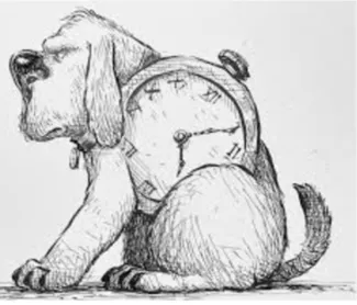 Watch Dog Vault
