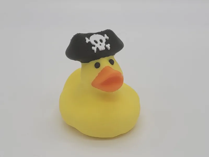 Pirate Duck
