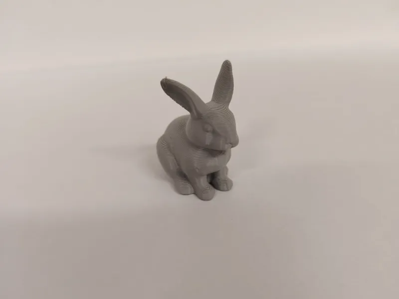 Very cute bunny