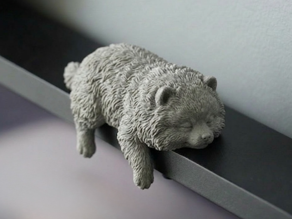 Cute Sleeping Pomeranian - Monitor Buddy