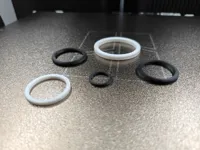 Ring Examples