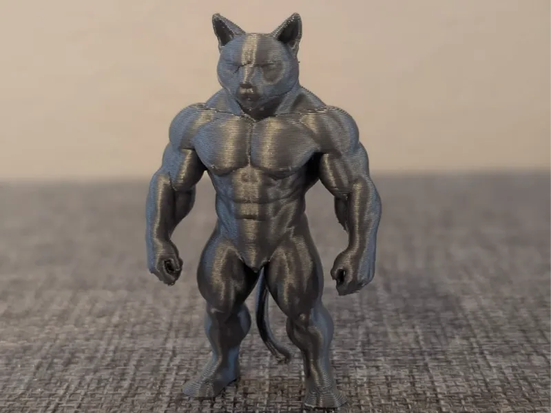 Muscle Cat – Alpha Hunter Body Builder