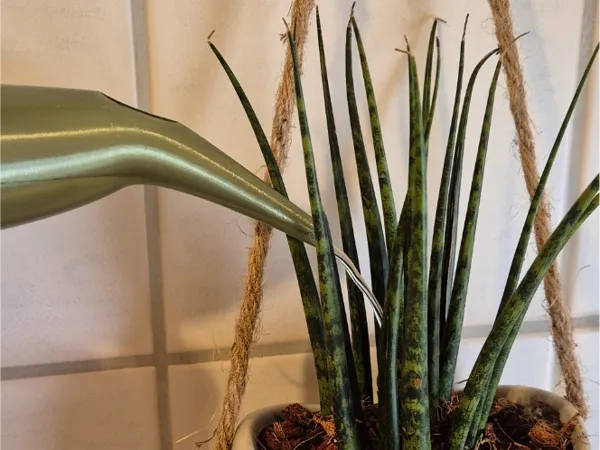 https://makerworld.bblmw.com/makerworld/model/US6bf46025f700d7/design/2025-05-25_db30b0598f155.jpg