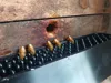 0.2mm layer, 2 walls, 100% infill