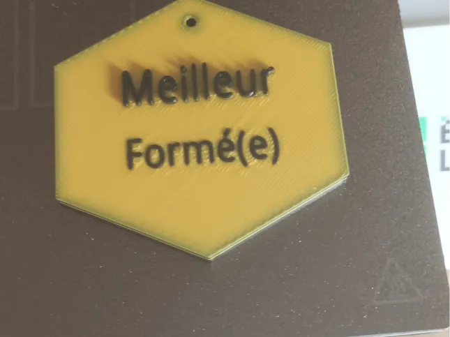 Médaille avec écrit meilleur formé(e)