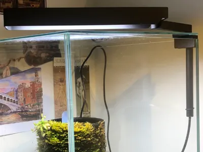 Chihiros C2/CII lampshade