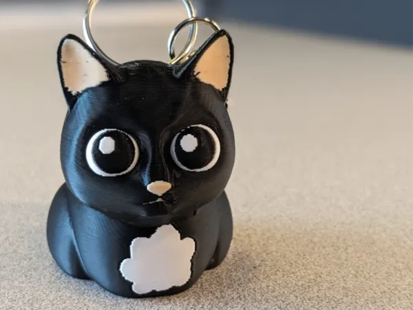 https://makerworld.bblmw.com/makerworld/model/US6bf66955132005/design/2024-05-28_c22400e8fa038.jpg