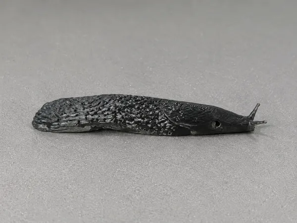 https://makerworld.bblmw.com/makerworld/model/US6bfea7d20dc672/design/c1f7ffcee7344a9d.png