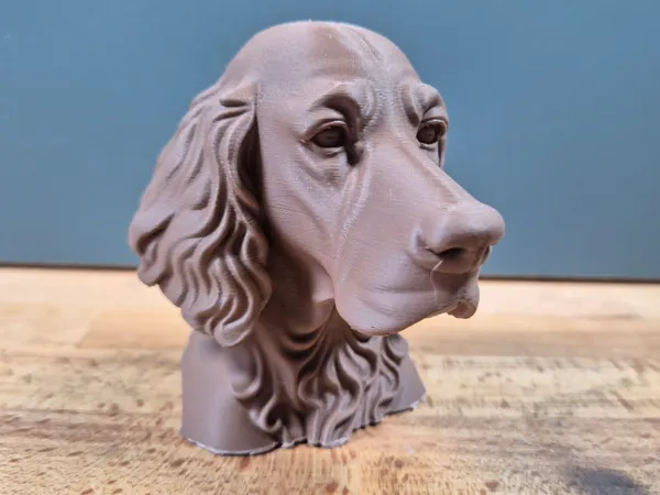https://makerworld.bblmw.com/makerworld/model/US6c06199e8c0fc/design/2025-05-16_8abc16b0a5ea6.jpg