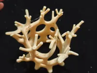 0.2mm 层高, 2 层墙, 10% 填充
