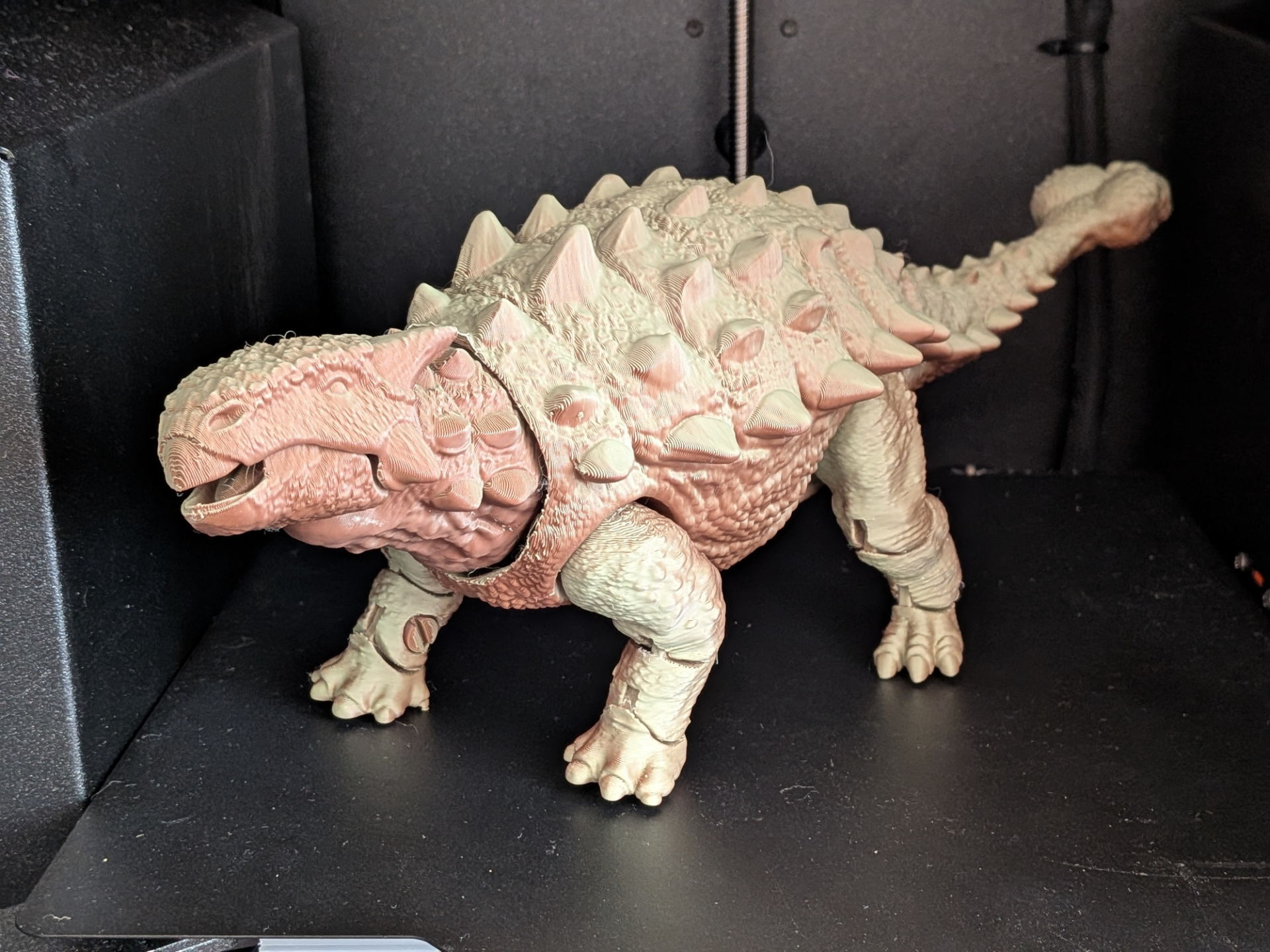 Jointed Ankylosaurus - 1