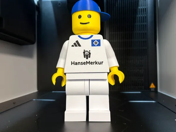 https://makerworld.bblmw.com/makerworld/model/US6c0bb185192c91/design/715110e1d9ed8d6c.jpeg
