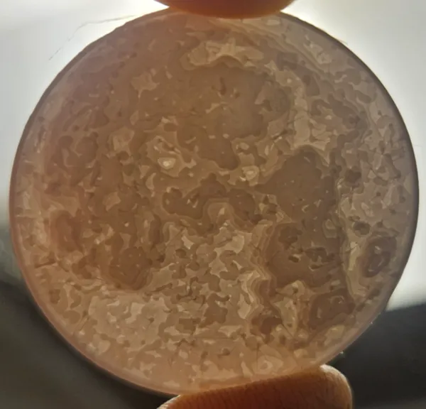 https://makerworld.bblmw.com/makerworld/model/US6c0db0ec6657b4/design/2024-11-20_32eccd0ffb16e.jpg