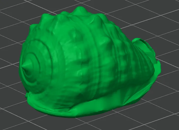 Conch Shell - Free 3D Print Model - MakerWorld