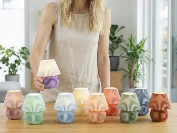 https://makerworld.bblmw.com/makerworld/model/US6c11d9e75b003e/design/2026-01-12_d15e6dfc9bcd88.png