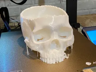 Realistic Skull Candy Bowl | Halloween Decoration