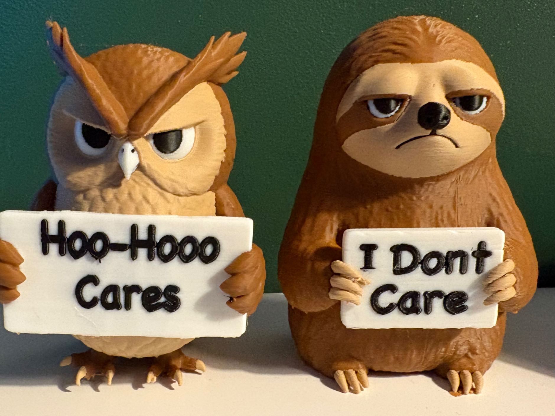 Cute but Grumpy Sloth