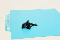 KillerWhaleMulticolor
