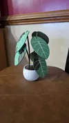150% scale
