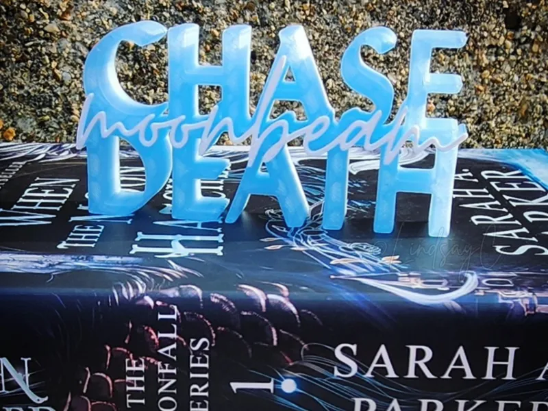 "Chase Death, Moonbeam" Shelf Sign