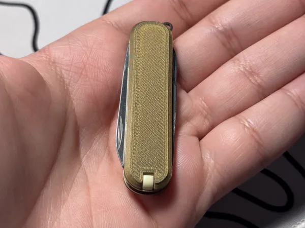 https://makerworld.bblmw.com/makerworld/model/US6c20d0290c77e2/design/2024-12-25_989fcb2836207.jpeg