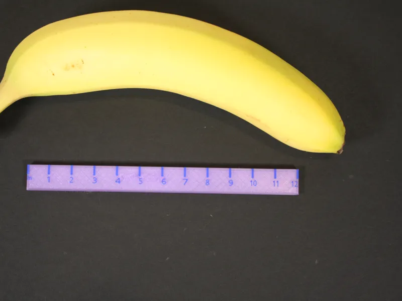 April fools ruler