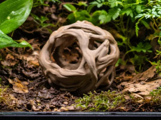 https://makerworld.bblmw.com/makerworld/model/US6c212b3b57352d/design/6cc9f47dd2a04a50.png
