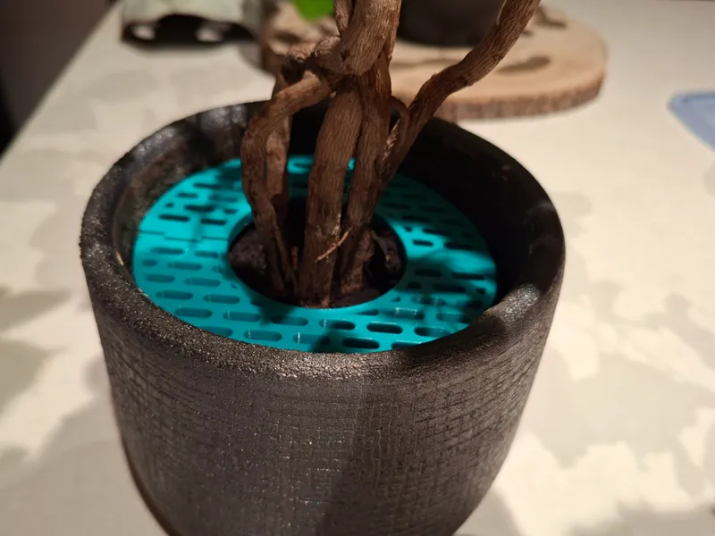 Parametric Plant Pot Protector