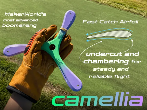 https://makerworld.bblmw.com/makerworld/model/US6c249453fb3a8a/design/0412a36efa53eb1a.png