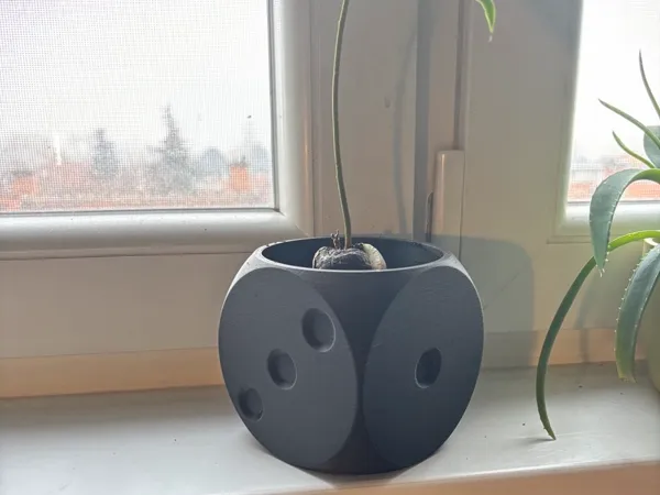 https://makerworld.bblmw.com/makerworld/model/US6c284bb03e6845/design/2024-12-31_d530d6cdefd6b.jpg