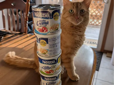CanStacker Ring for cans without a stacking rim