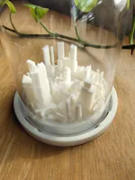Micro-ville miniature sous cloche — photo 3