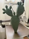 0.2mm layer, 1 walls, 1% infill