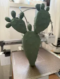 0.2mm layer, 1 walls, 1% infill