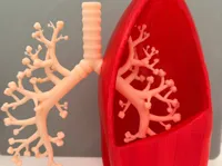0.2mm layer, 2 walls, 8% infill