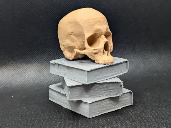 https://makerworld.bblmw.com/makerworld/model/US6c2cf23b3539e9/design/2025-04-13_eab223945dc4e8.jpg