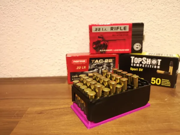 https://makerworld.bblmw.com/makerworld/model/US6c3482b7383f16/design/2024-02-16_242bc95b051a.webp