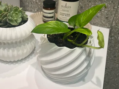 Spiral Planter