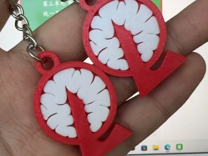 脑叶公司图标（小尺寸带钥匙链版本）