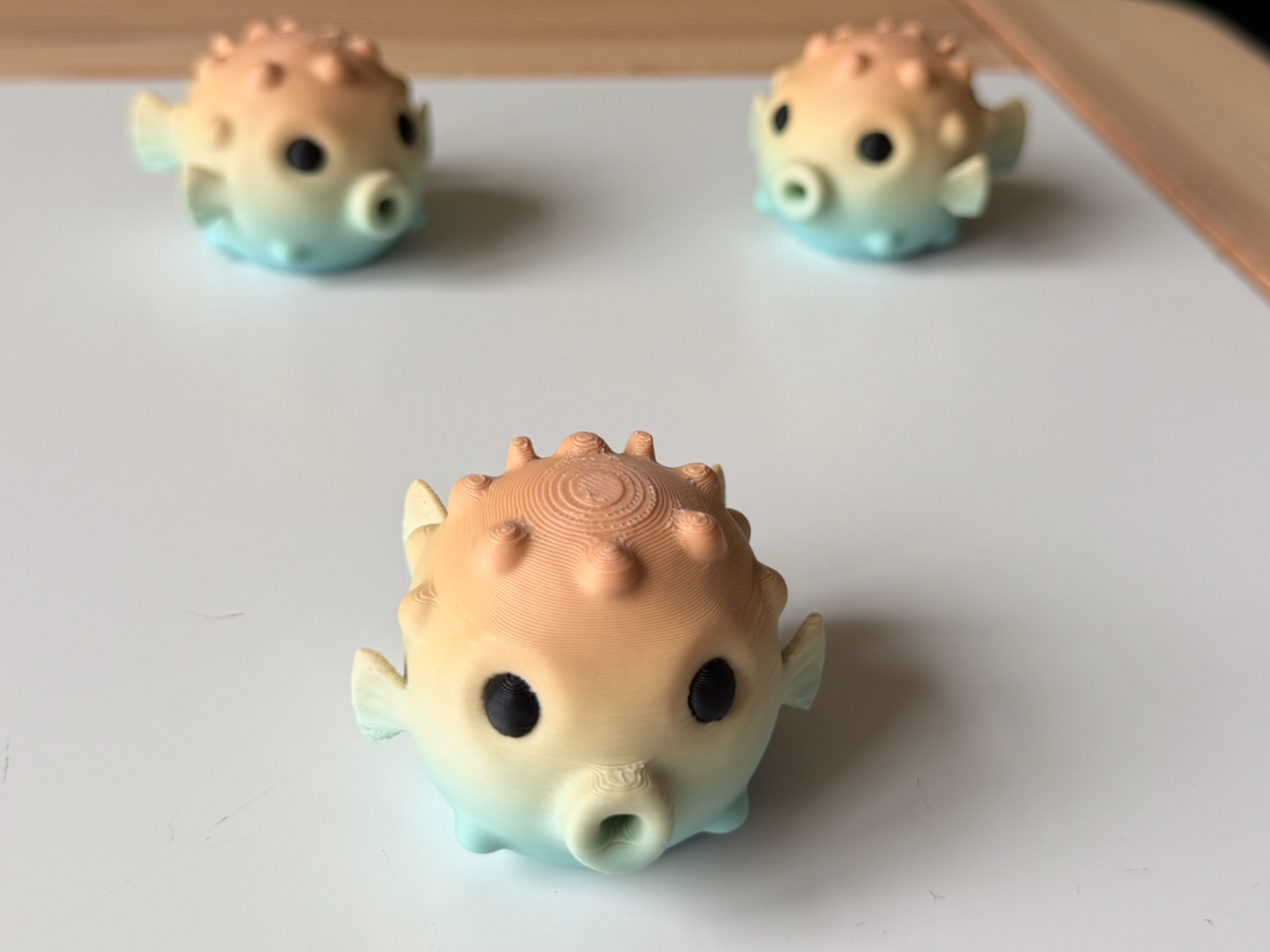 Pufferfish