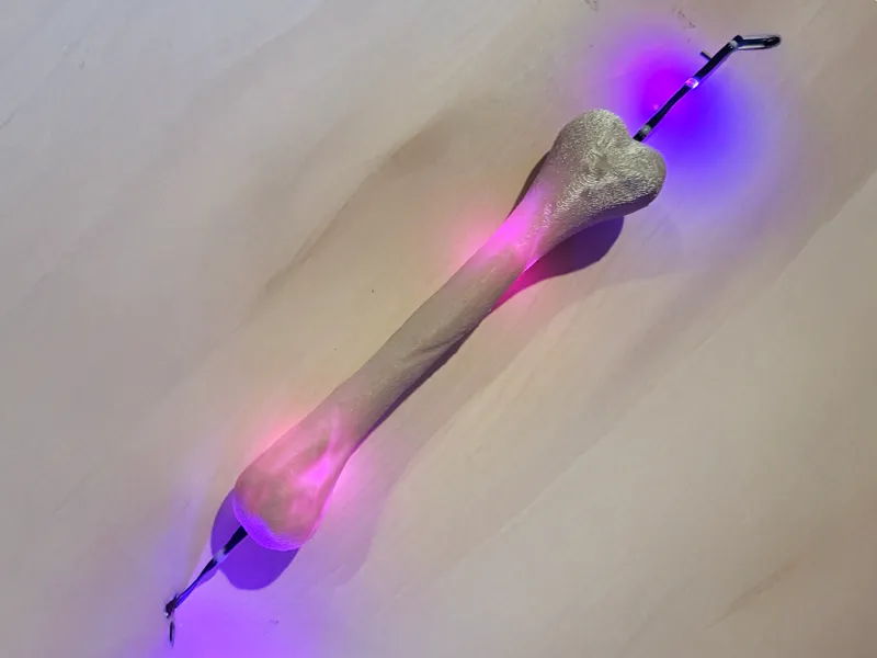 Halloween Bones for Seed Pixel Lights