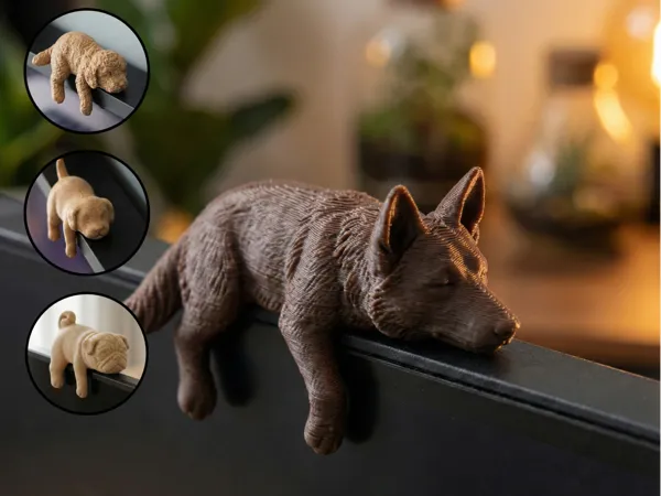 https://makerworld.bblmw.com/makerworld/model/US6c41584f0f5666/design/009d0a8ebdfe8f03.png