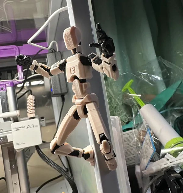 https://makerworld.bblmw.com/makerworld/model/US6c41d85227a6eb/design/2024-08-07_5bbb11bd161ae.jpg