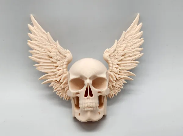 https://makerworld.bblmw.com/makerworld/model/US6c452fc361adde/design/2025-04-30_fs0qilzp88wx.jpg