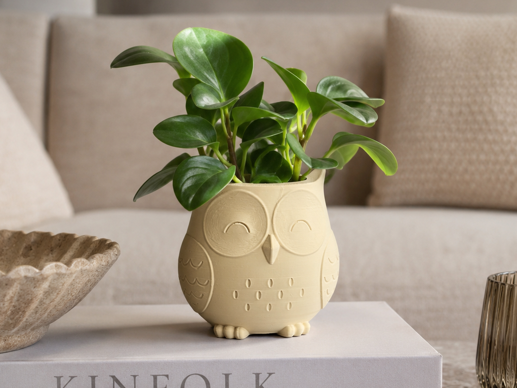 Owl Mini Planter - Japandi Style
