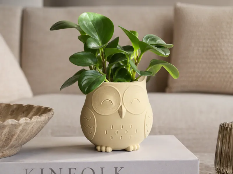 Owl Mini Planter - Japandi Style