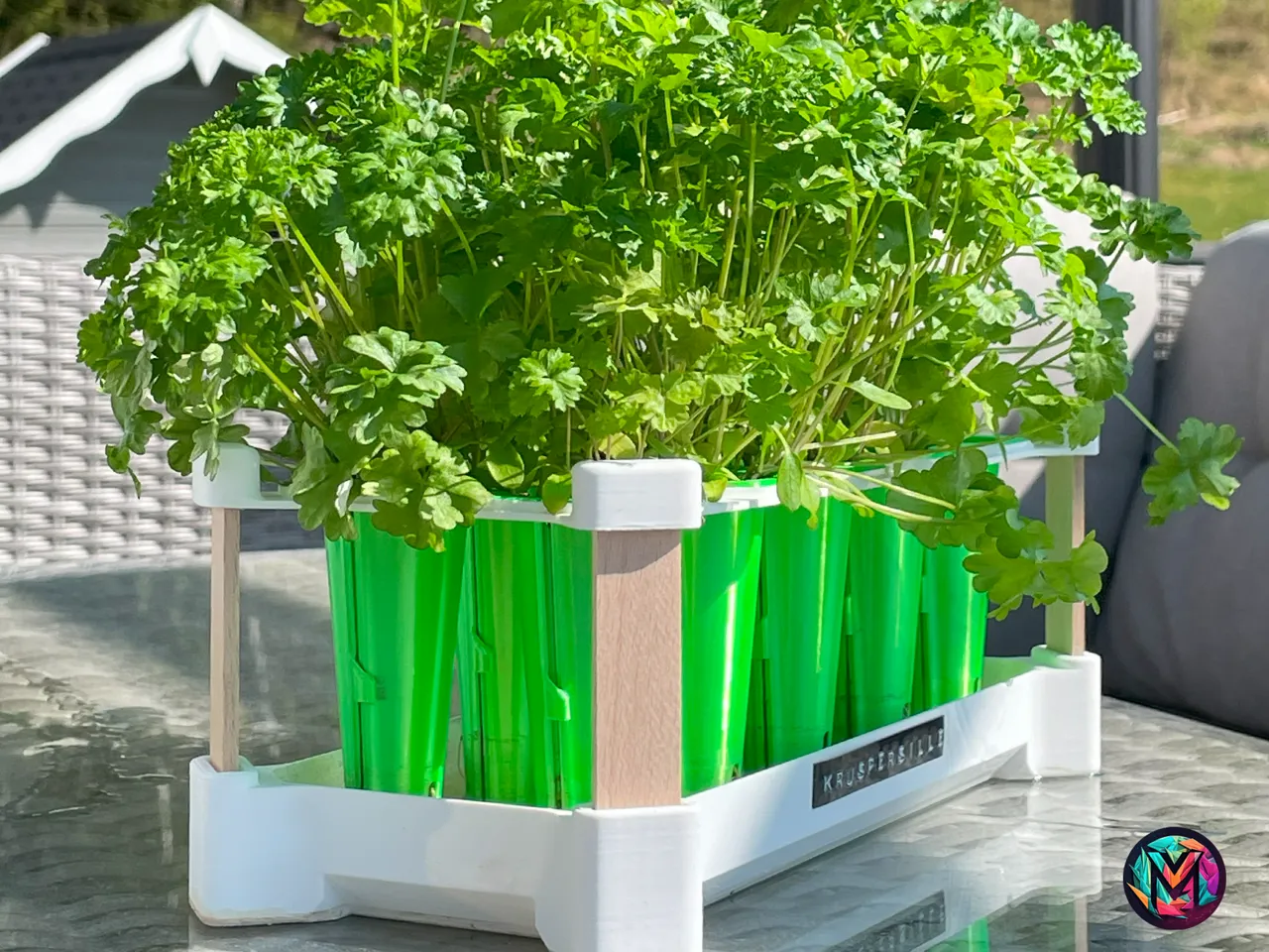 Self Watering Seed Starter view 4