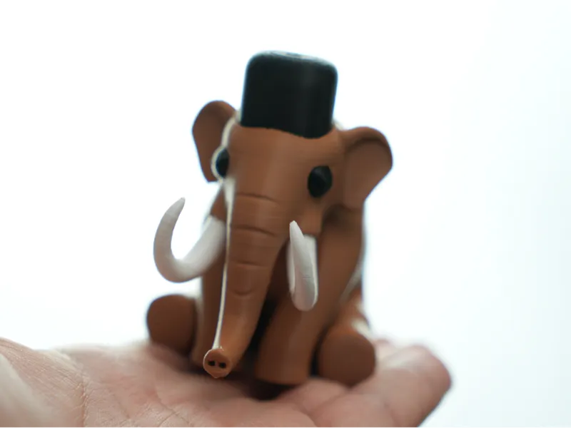 Mammoth Flat Top